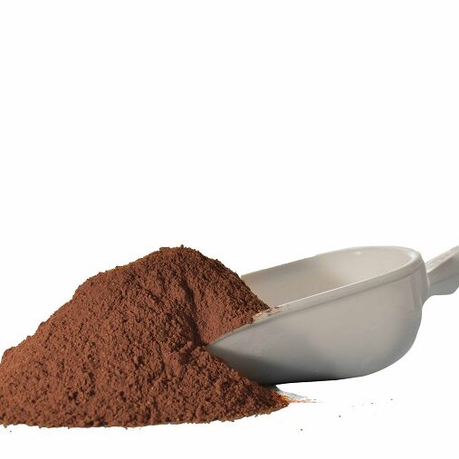 Preparati base per ristorazione? Meglio se 100% naturali 2 polvere cioccolato